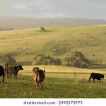 七乐娱乐:探索多元化娱乐体验的全新平台 0c67wp