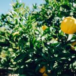 三易博娱乐:安全可靠的线上博彩与游戏服务 8546rgoy