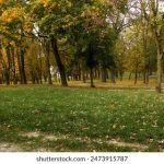 万赢注册流程详解,助你顺利开启游戏新体验 bo4xciaqy8