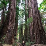 上葡京赌场的历史与发展:见证澳门博彩业的辉煌 g7njl16xd