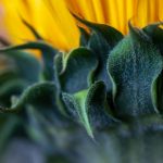 万达国际娱乐的魅力:让你沉浸在无限欢乐中 l46xqf42l