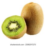 万博体育app娱乐:安全可靠的在线体育娱乐平台 m9oxqws3