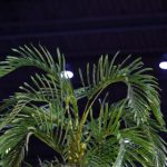 万博体育的用户体验:界面设计与功能分析 urm14ujs