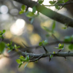 360度全景直播带你直击中超赛场风云 4vp65pjjn