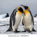 163直播平台全新上线,精彩内容抢先看 irp5w