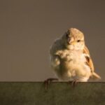 168开奖结果最新公布,今日幸运号码揭晓 srv05lio2o