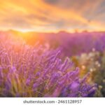 360度全景直播:中国女排巅峰对决精彩呈现 t7xn6