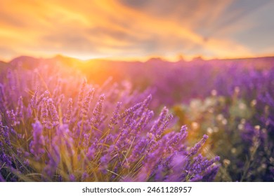 360度全景直播：中国女排巅峰对决精彩呈现