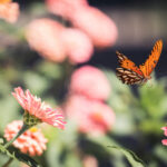 360彩票全国开奖公告最新官方发布 ufr6io7z